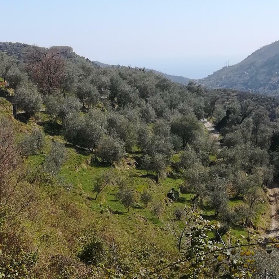 Casa Margherita Lägenhet Ceriana Exteriör bild